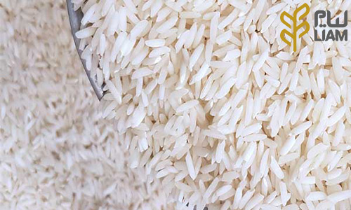 ویژگی های برنج صدری هاشمی