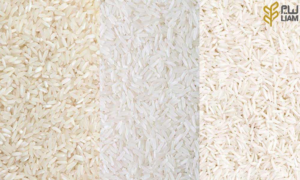 برنج ایرانی چیست؟