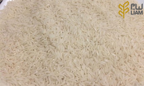 معرفی برنج صدری