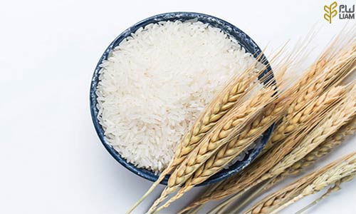 قیمت برنج پر محصول