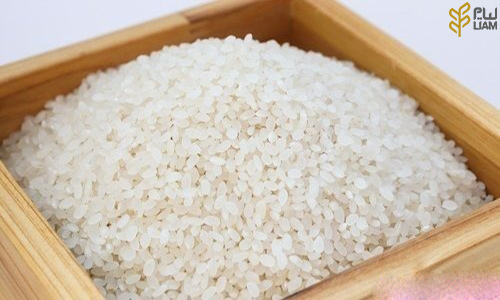 معرفی برنج شیرودی