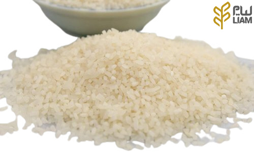 ویژگی‌های برنج شیرودی