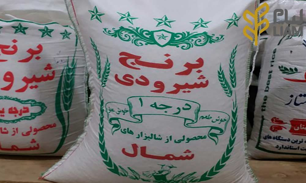 قیمت خرید برنج شیرودی