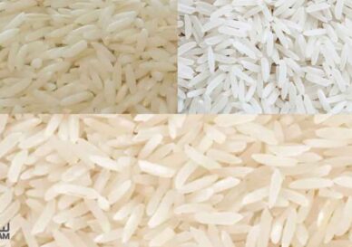 تشخیص برنج باکیفیت