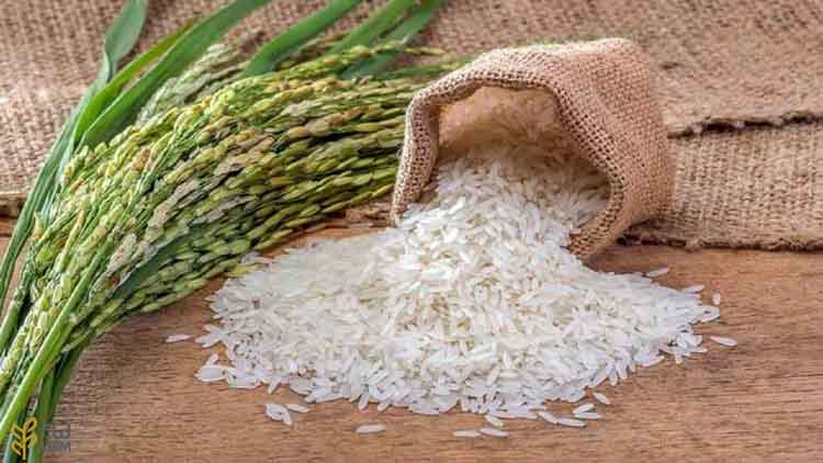 بررسی راه های تشخیص برنج باکیفیت