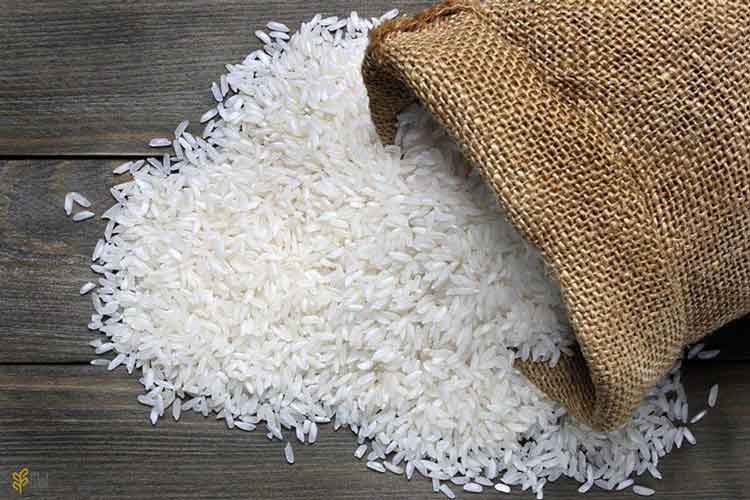 تفاوت برنج باسماتی و برنج ایرانی